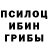 Галлюциногенные грибы Cubensis Gin Drinkerann