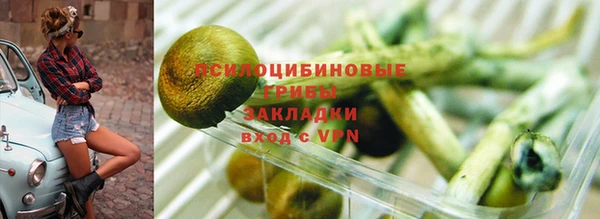 индика Балахна