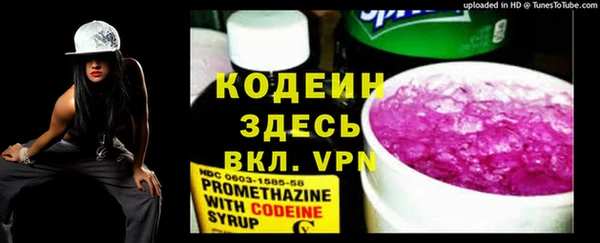 индика Балахна