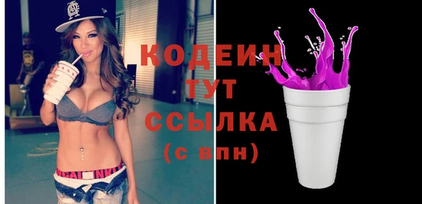 индика Балахна