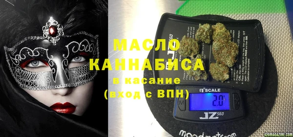индика Балахна