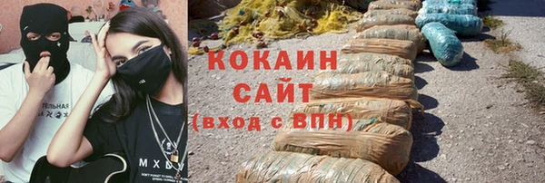 индика Балахна