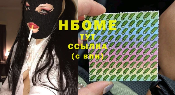 индика Балахна