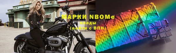 индика Балахна