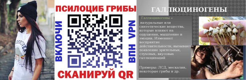 Галлюциногенные грибы мицелий  shop состав  Купино 