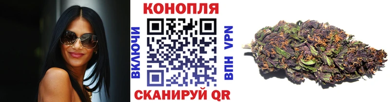 Каннабис MAZAR Купино